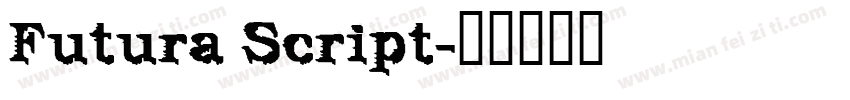 Futura Script字体转换